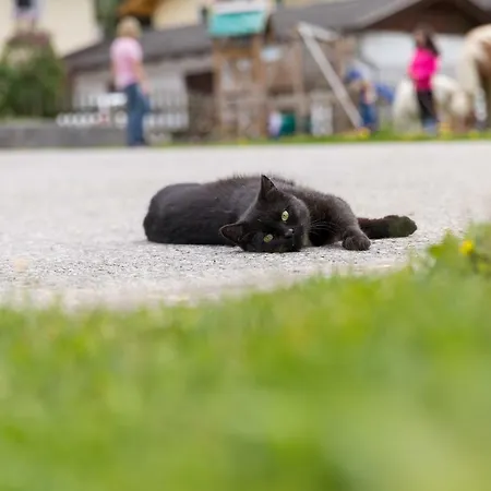 Alloggio per agriturismo Hieserhof Neustift im Stubaital
