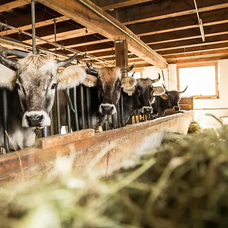 Hieserhof Farm stay