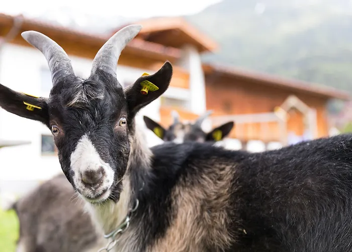 Hieserhof * Neustift im Stubaital