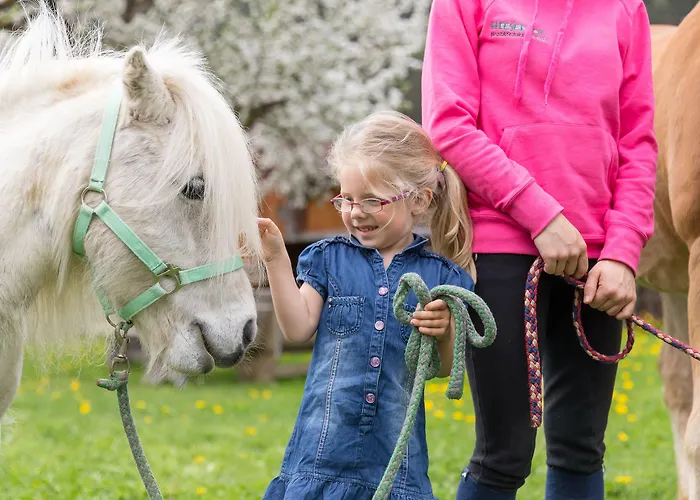 Hieserhof Vakantieboerderij *