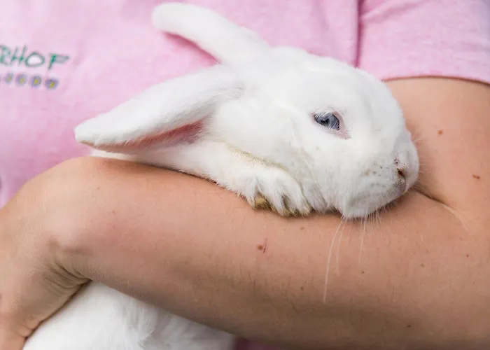 Hieserhof Vakantieboerderij *