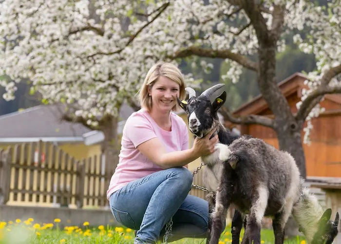 Vakantieboerderij Hieserhof