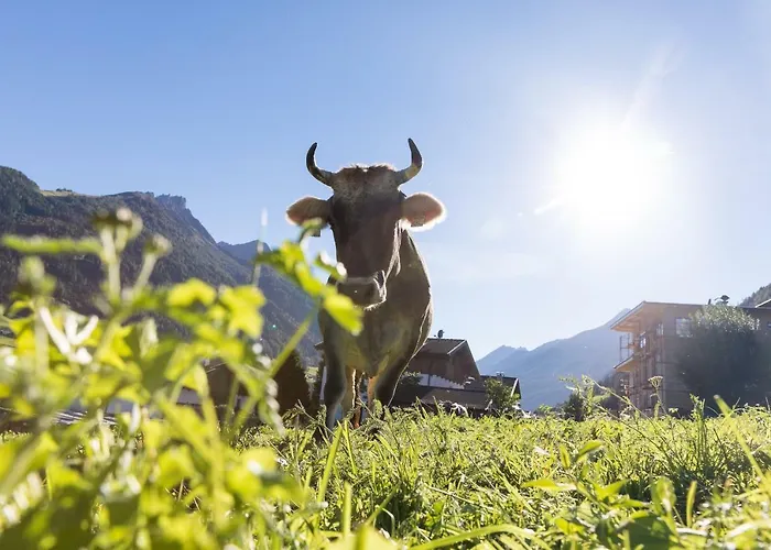 Vakantieboerderij Hieserhof *